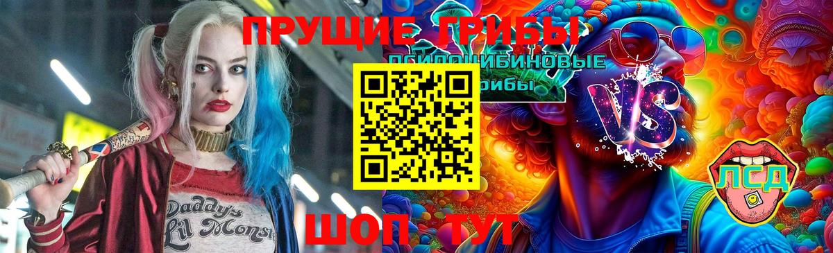Киров  Псилоцибиновые грибы Psilocybe  Вход с VPN 